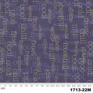 yModa _zChill-1713-22M(^bNH)(2E-03) p[vn p At@xbg S[h `[t ~ ^bN Rbg100 V[`Oy10cmPʔ̔z