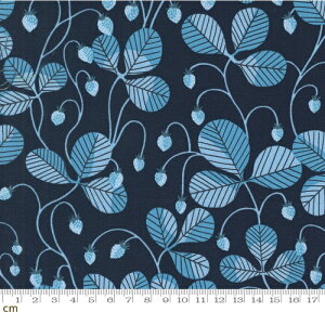 yModa _zLove Letter-37124-27(3B-06) 삢 C`S  鑐͗l [t t lCr[ V[`O Rbg100 V[`O 110cmy10cmPʔ̔z