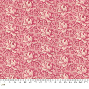 yModa _zGoodnight Irene-31702-12(3A-01) ԕ O sN NVbN Be[W V[`O Rbg100 V[`O 110cmy10cmPʔ̔z