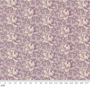 �yModa ���_�zGoodnight Irene-31702-13(3A-01) �ԕ� ���O �p�[�v�� �N���V�b�N ���B���e�[�W �V�[�`���O �R�b�g��100�� �V�[�`���O 110cm���y10cm�P�ʔ̔��z