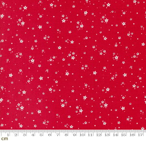 yModa _zStarberry-29187-22(3B-05) bh  L  X^[ LL NX}X 킢 bJ[vg Rbg100 V[`Oy10cmPʔ̔z