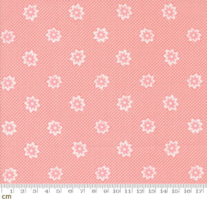 yModa _z30s Playtime 2024-33752-13(3B-05) sN ԕ g|bv 킢 Rbg100 V[`Oy10cmPʔ̔z