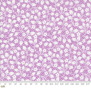 yModa _z30s Playtime 2024-33753-12(3B-05) p[v A [t tϕ g|bv 킢 Rbg100 V[`Oy10cmPʔ̔z