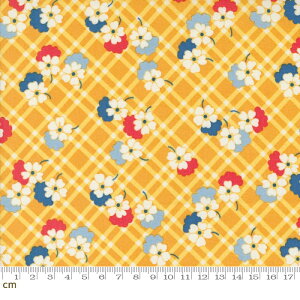 yModa _z30s Playtime 2024-33754-16(3B-05) CG[ ԕ `FbN g|bv 킢 Rbg100 V[`Oy10cmPʔ̔z