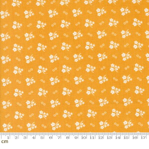 yModa _z30s Playtime 2024-33755-16(3B-05) CG[ RF ԕ g|bv 킢 Rbg100 V[`Oy10cmPʔ̔z