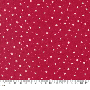 yModa _zDear Santa-49260-12(2E-02) bh   Xmas NX}X 킢 Vv vg Rbg100 V[`Oy10cmPʔ̔z