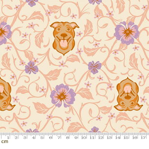 yModa _zDog Park-RS2095-11(3B-05) ItzCg   Aj}  X^btH[hV[ueA |bv 킢 vg ruby star r[X^[ Rbg100 V[`Oy10cmP