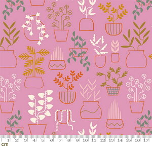 �yRuby Star�zCalathea-RS5184-13(3A-03) �A�� �ϗt�A�� �t���� ���[�t�� ���A�� �v�����^�[ ���� �C���X�g �J���t�� �|�b�v ���킢�� �V�[�`���O 110cm���y10cm�P�ʔ̔��z