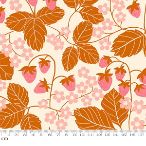 �yRuby Star�zReimagined Landscapes-RS6054-11(3A-04) �������� �X�g���x���[ �ԕ� �A���� �s���N�n ���C�g�u���E�� ���킢�� �V�[�`���O 110cm���y10cm�P�ʔ̔��z