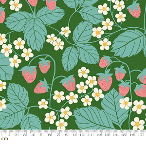 �yRuby Star�zReimagined Landscapes-RS6054-15(3A-04) �������� �X�g���x���[ �ԕ� �A���� �O���[���n ���C�g�u���E�� ���킢�� �V�[�`���O 110cm���y10cm�P�ʔ̔��z