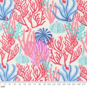 �yModa-k ���_�zReef-27341-11(3A-04) �C �r�[�` ���[�t �^�C�h�v�[�� �E�j�̊k �E�~�V�_ �q�g�f �L �C�̐����� �V�[�`���O 110cm���y10cm�P�ʔ̔��z