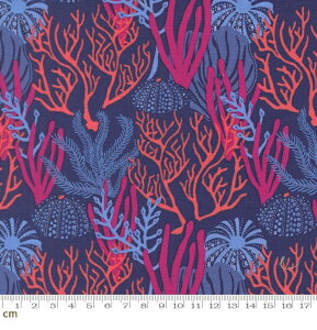 �yModa-k ���_�zReef-27341-28(3A-04) �l�C�r�[ �u���[ �I�����W �C �r�[�` ���[�t �^�C�h�v�[�� �E�j�̊k �E�~�V�_ �q�g�f �L �C�̐����� �V�[�`���O 110cm���y10cm�P�ʔ̔��z