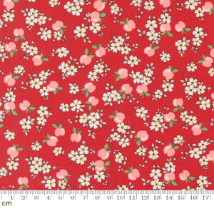 yModa _z30s Playtime 2025-23371-14(3A-05) bh ԕ ԕ  ʕ t[c ؂₩ 킢 Rbg100 V[`O 110cmy10cmPʔ̔z