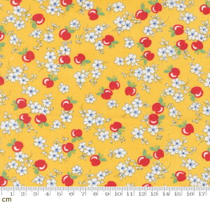 yModa _z30s Playtime 2025-23371-15(3A-05) CG[ ԕ ԕ  ʕ t[c ؂₩ 킢 Rbg100 V[`O 110cmy10cmPʔ̔z