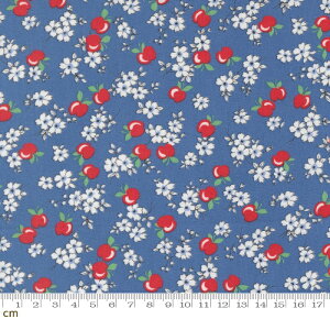 yModa _z30s Playtime 2025-23371-18(3A-05) u[ ԕ ԕ  ʕ t[c ؂₩ 킢 Rbg100 V[`O 110cmy10cmPʔ̔z