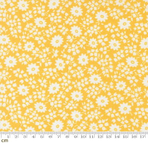 yModa _z30s Playtime 2025-23372-15(3A-05) CG[ ԕ ԕ 킢 Rbg100 V[`O 110cmy10cmPʔ̔z