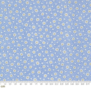 yModa _z30s Playtime 2025-23379-17(3A-05) u[ ԕ ԕ g 킢 Rbg100 V[`O 110cmy10cmPʔ̔z