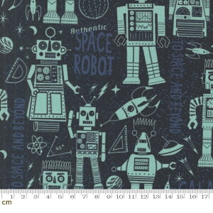 yModa-k _z321 Blast Off-20951-15(3A-04) {bg  p F g u[ O[ lCr[ V[`O 110cm nhCh pb`[N