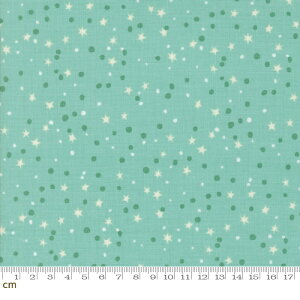 yModa-k _z321 Blast Off-20955-17(3A-04)  hbg g O[ ~gO[ V[`O 110cm nhCh pb`[N