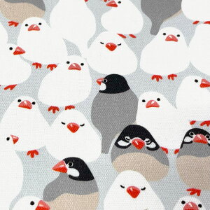 �yabeille�z������������ ab100-01-01x(3D-03) ���� ���� ���킢�� ���C�g�u���[ ���C�g�s���N �C�G���[ �O���[�� ���C�g�O���[ ���� ���w �R�b�g��100% �I�b�N�X���n 110cm���y10cm�P�ʔ̔��z