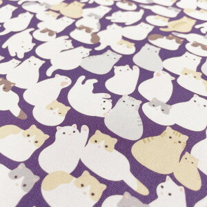 yabeillezlR ab100-03x(3D-03) L / lR / ˂ 킢 u[ sN O[ JtFI p[v  w Rbg100% IbNXn 110cmy10cmPʔ̔z