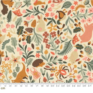 yModa _zAcorn Hollow-30760-11(3B-09)  ` N[F  Aj} 킢 菑 X ETM nlY~ ǂ񂮂 LmR V[`O 110cmy10cmPʔ̔z