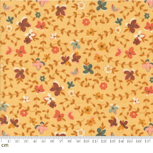 yModa _zAcorn Hollow-30761-12(3B-09) [t 鑐 CG[  Aj} 킢 菑 X ETM nlY~ ǂ񂮂 LmR V[`O 110cmy10cmPʔ̔z