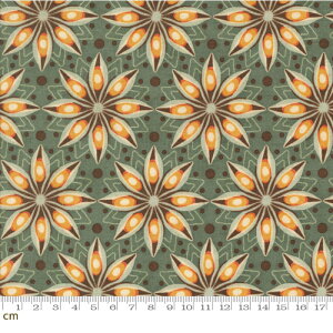 yModa _zAcorn Hollow-30762-19(3B-09) 􉽊w ԕ  hbg ʕ O[n X[L[O[ V[`O 110cmy10cmPʔ̔z