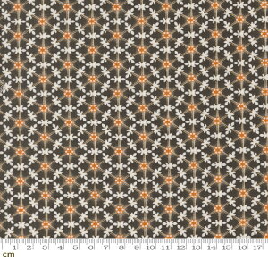 yModa-k _zAgatha Road-35413-15(3A-04) ԕ 􉽊w IW ubN nEB V[`O 110cm nhCh pb`[N