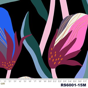 yModa _zAirflow-RS6001-15m(^bNH)(2E-02) ubNn sNn S[h Jbp[J[ ԕ Rbg100% V[`O ruby star r[X^[y10cmPʔ̔z