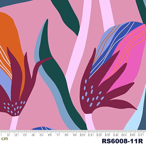 yModa _zAirflow-RS6008-11r([n)(2E-02) sNn ԕ [ ruby star r[X^[y10cmPʔ̔z