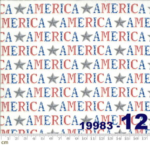 yModa _zAmerica The Beautiful-19983-12(2E-03) zCgn bhn u[n O[n    p AJ Rbg100 V[`Oy10cmPʔ̔z