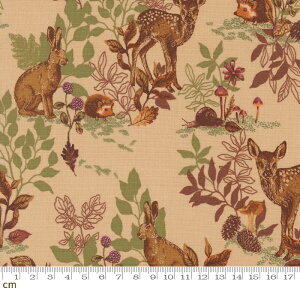 yModa-k _zAutumn Forest-14120-12(3A-04)  A {^jJ GKg NVbN V[`O 110cm pb`[N nhChy10cmPʔ̔z