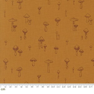 yModa-k _zAutumn Forest-14126-13(3A-04) LmR `[t A AeB[N IW V[`O 110cm pb`[N nhChy10cmPʔ̔z