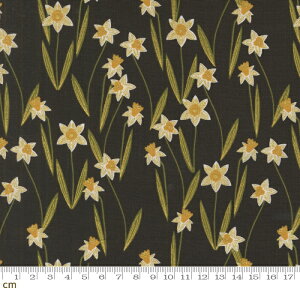 yModa _zBee Garden-48413-21M(3A-02) ubN S[h 啿 ԕ  ^bNH Rbg100 V[`O 110cmy10cmPʔ̔z