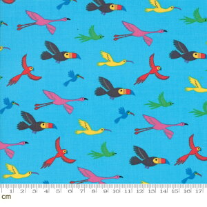 �yModa ���_�zBicycle Bunch(�o�C�V�N�� �o���`)-35333-15(2D-02) ���� �o�[�h �t���~���S �n�`�h�� �C���R �I�I�n�V �L�b�Y �X�J�C�u���[ �J���t�� �|�b�v �R�b�g��100% �V�[�`���O�y10cm�P�ʔ̔��z