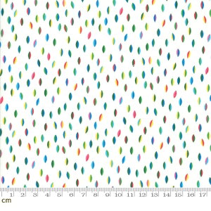 yModa _zBicycle Bunch(oCVN o`)-35335-11(2D-02) hbg [t H zCgn Jt F Rbg100% V[`Oy10cmPʔ̔z
