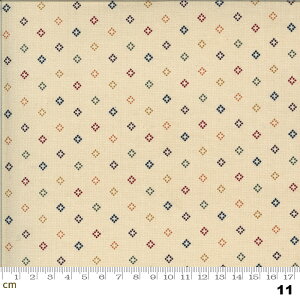 yModa _zBittersweet Lane-9647-11(2E-05) x[Wn eNX` hbg L Rbg100% V[`O y10cmPʔ̔z