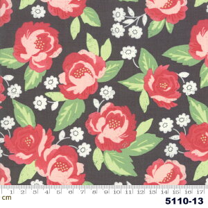 yModa _zBloomington-5110-13(2E-04) ubNn uEn zCgn bhn ԕ Rbg100% V[`O y10cmPʔ̔z