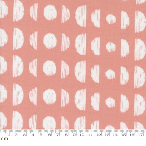 yModa _zBotany-11553-25(3A-01) sN 􉽊w Vv  啿 傫ߕ Rbg100 V[`O 110cmy10cmPʔ̔z