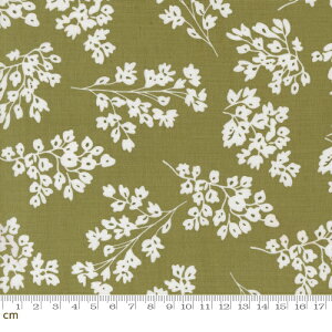 yModa _zBotany-11555-17(3A-01) J[LO[ A Vv  啿 傫ߕ Rbg100 V[`O 110cmy10cmPʔ̔z