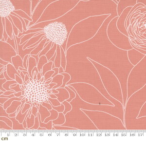 yModa _zBotany-11557-15(3A-01) sN ԕ Vv  啿 傫ߕ Rbg100 V[`O 110cmy10cmPʔ̔z