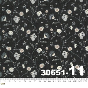 yModa _zBoudoir-30651-11(2E-05){^jJ A ԕ ԕ mg[  VbN nhCh Rbg100 V[`O 110cmy10cmPʔ̔z