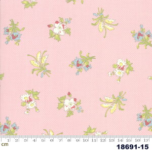 yModa _zBramble cottage-18692-15(2D-03) sN ԕ ԑ u[P `FbN iq 킢 Rbg100 V[`O 110cmy10cmPʔ̔z