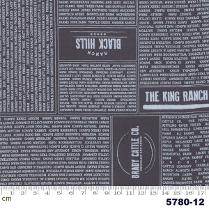 yModa _zBranded-5780-12(2E-02)(2C-06) zCgn lCr[n p At@xbg  Rbg100 V[`O 110cmy10cmPʔ̔z