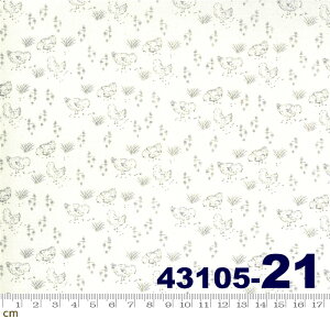 yModa _zBreak Of Day-43105-21(2D-01) zCgn O[n  { ɂƂ Rbg100% V[`Oy10cmPʔ̔z