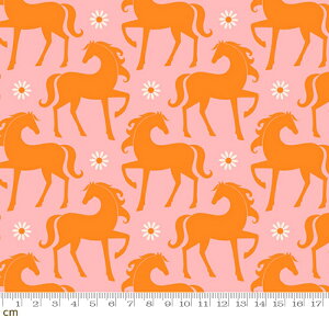 yRuby StarzCarousel-RS0099-12(3A-01) moda n ԕ g|bv sN V[`O 110cmy10cmPʔ̔z