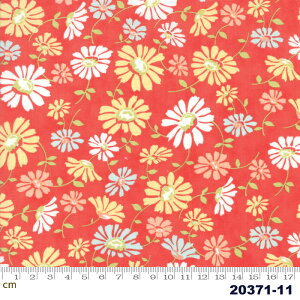 yModa _zCatalina-20371-11(2E-05) bhn CG[n zCgn sNn u[n ԕ Rbg100% V[`O y10cmPʔ̔z