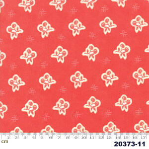 yModa _zCatalina-20373-11(2E-05) bhn t[c  Hו |bv Rbg100% V[`O y10cmPʔ̔z