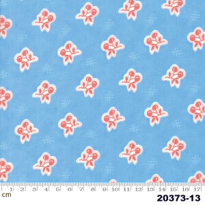 yModa _zCatalina-20373-13(2E-05) bhn t[c  Hו |bv Rbg100% V[`O y10cmPʔ̔z